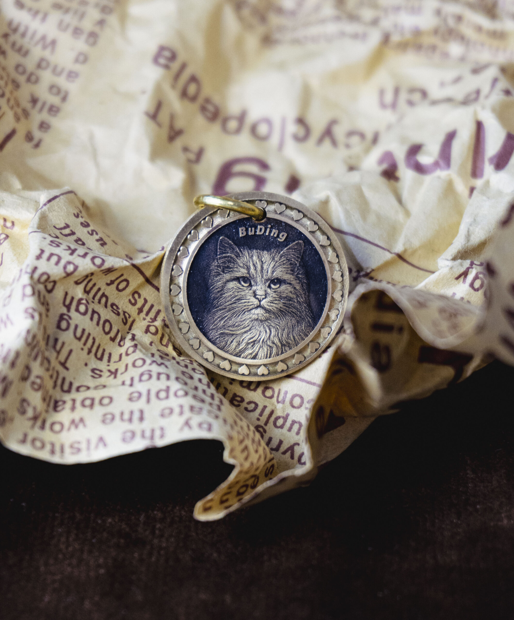 Custom 999 Pure Silver Pet Memorial Coin