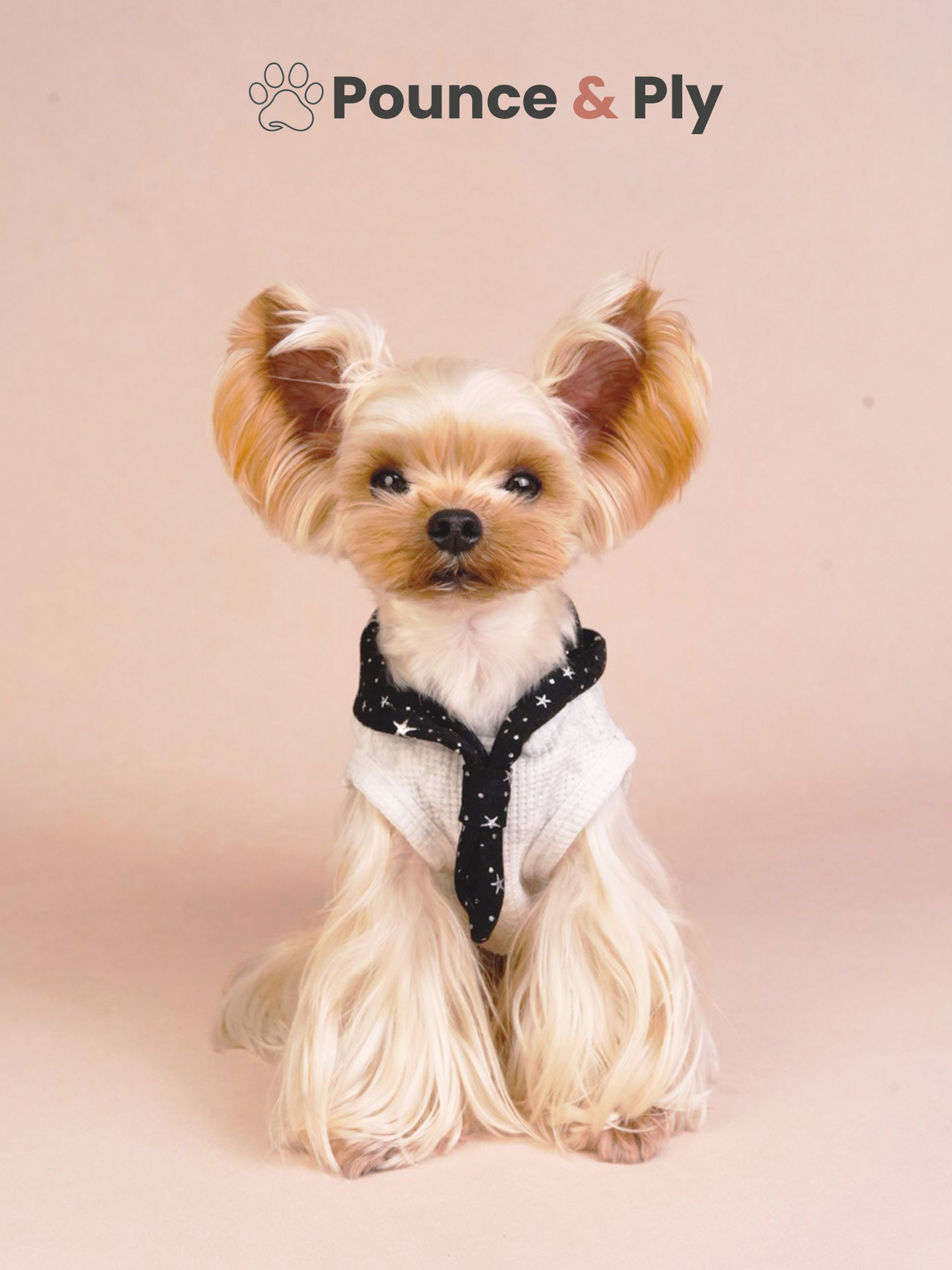 Waffle Knit Pet Vest with Starry Bandana-3 Waffle Knit Pet Vest with Starry Bandana